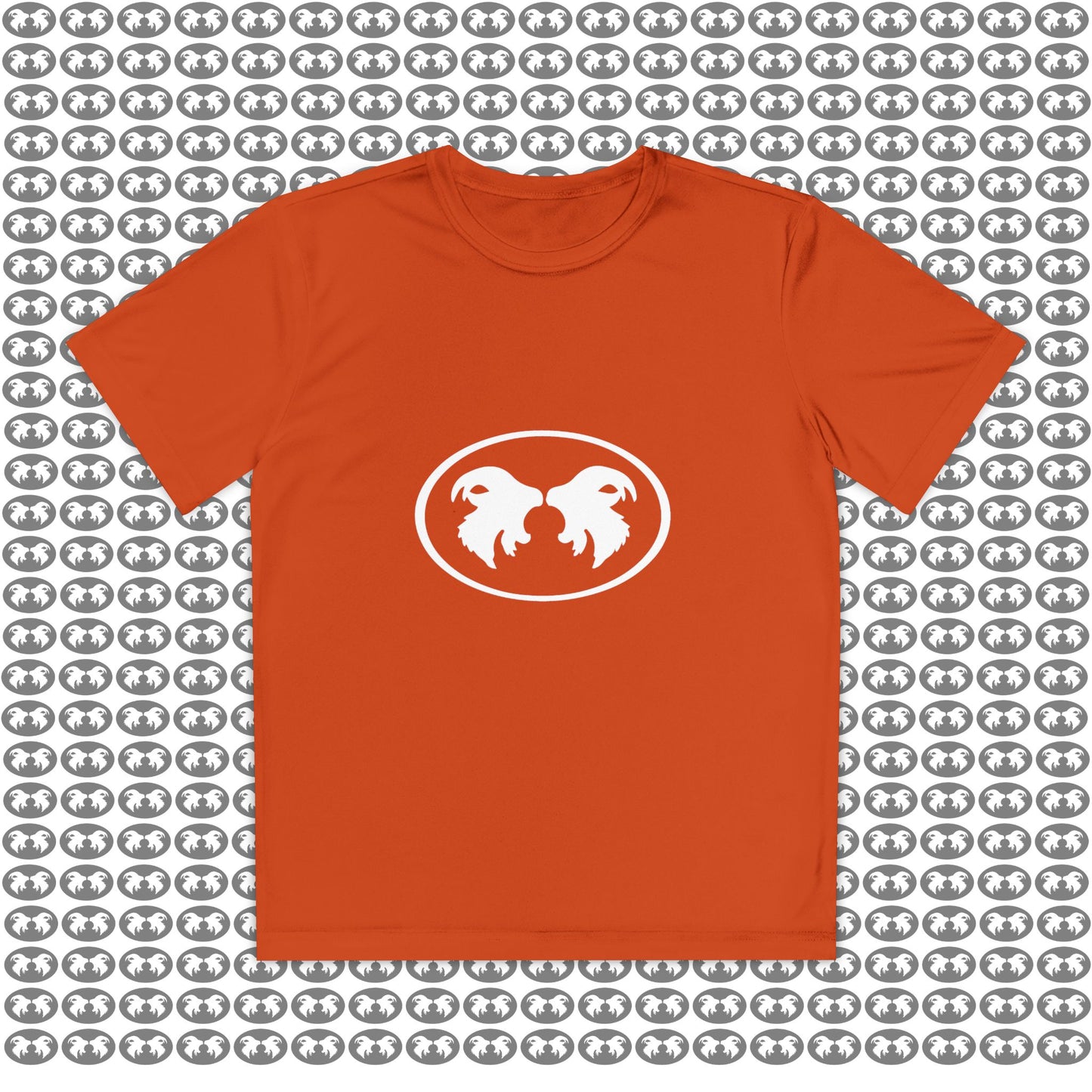 "Aggressive Hummingbird!