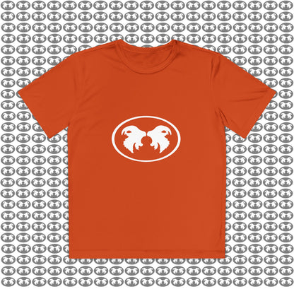 "Aggressive Hummingbird!