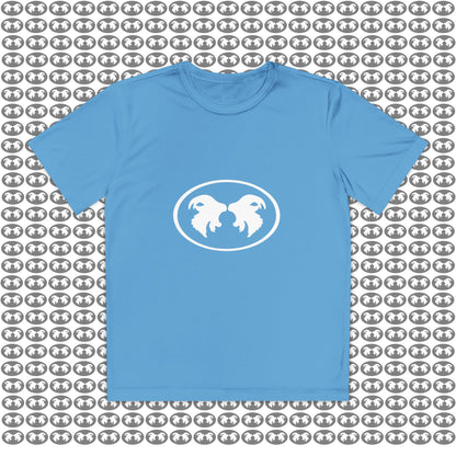 "Aggressive Hummingbird!