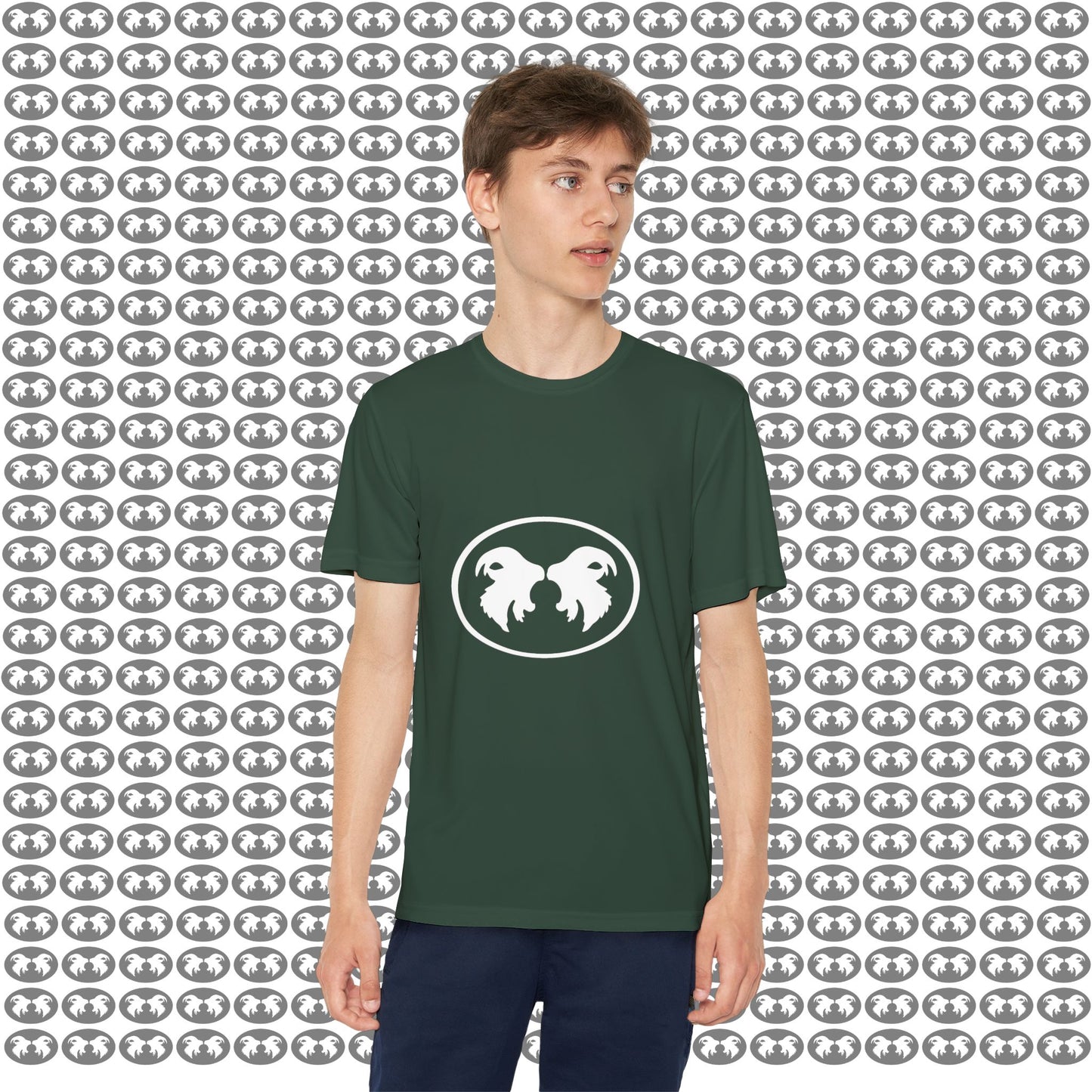 "Aggressive Hummingbird!