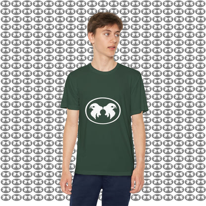 "Aggressive Hummingbird!