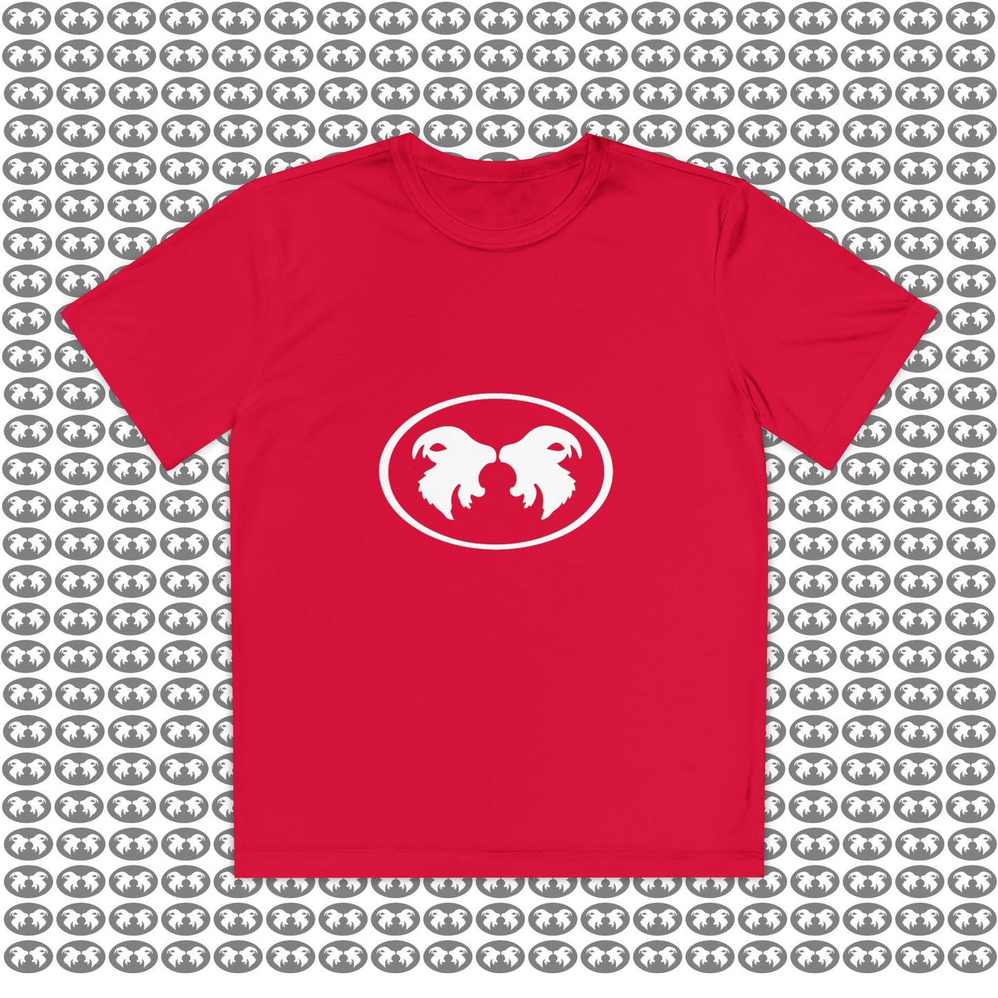 "Aggressive Hummingbird!