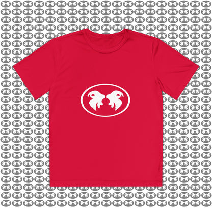 "Aggressive Hummingbird!