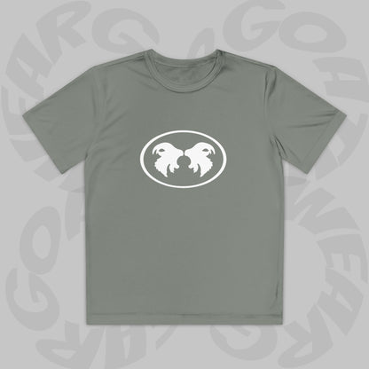 "Aggressive Hummingbird!