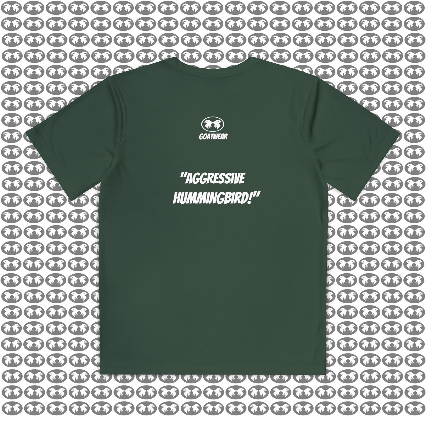 "Aggressive Hummingbird!