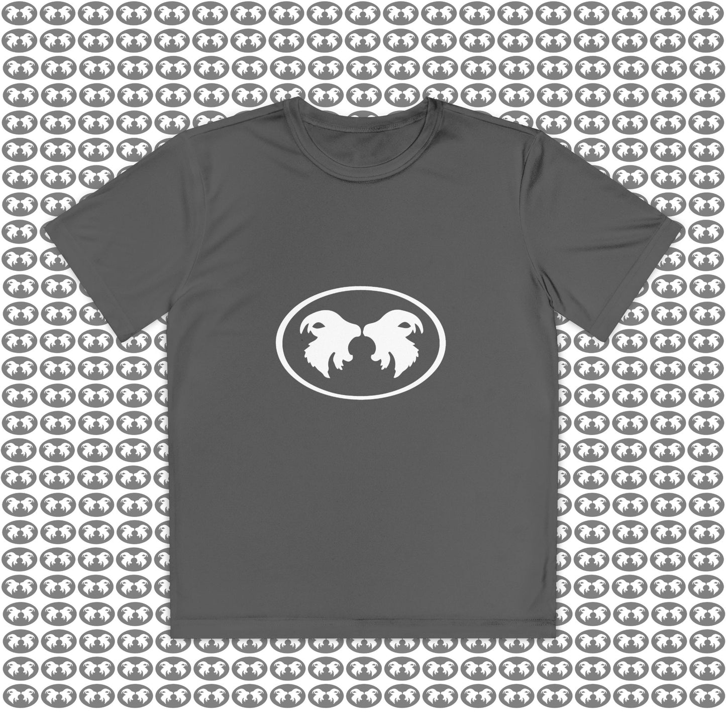 "Aggressive Hummingbird!