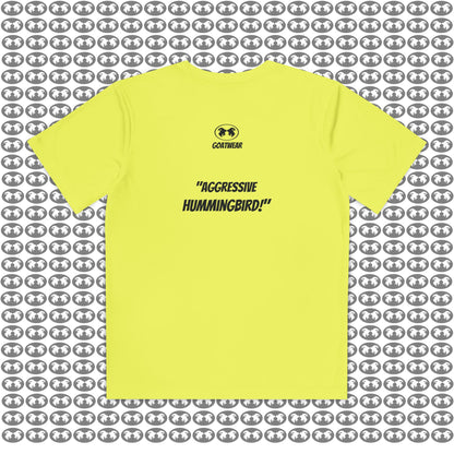 "Aggressive Hummingbird!