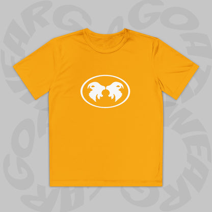 "Aggressive Hummingbird!