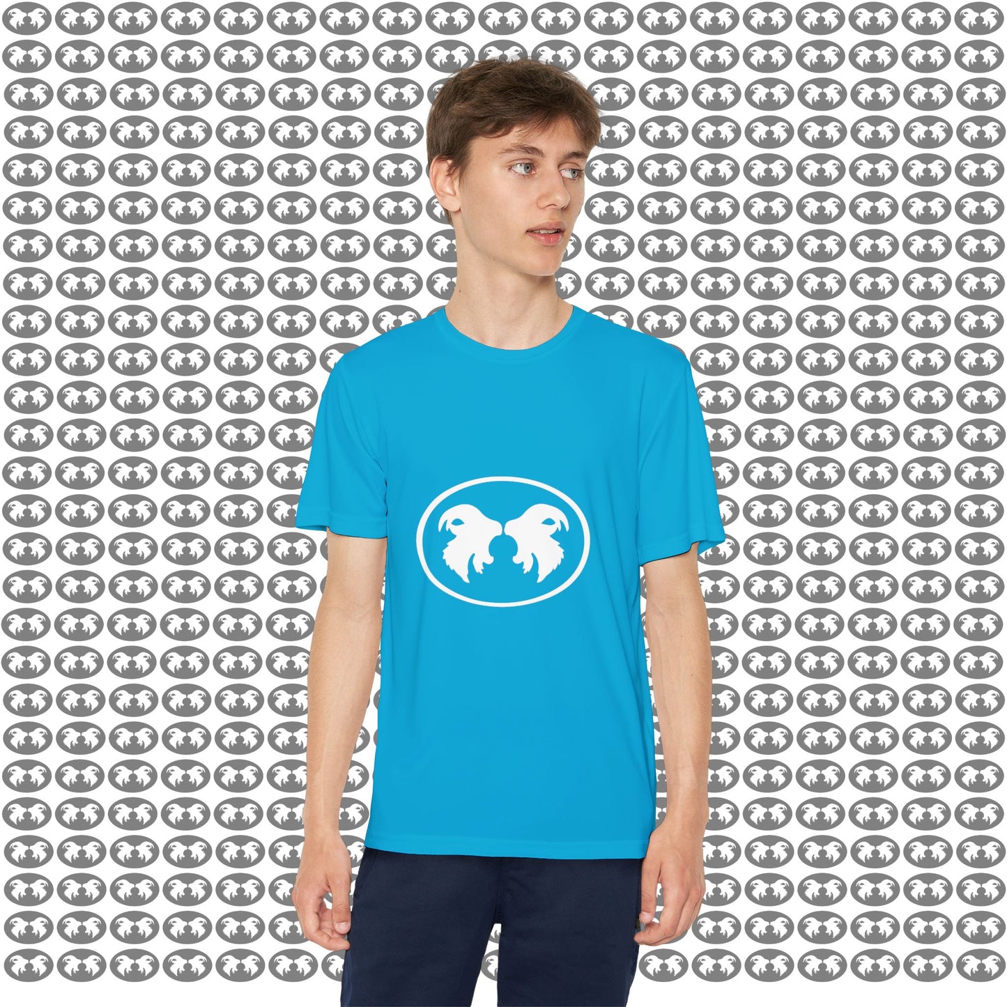 "Aggressive Hummingbird!