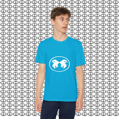 "Aggressive Hummingbird!