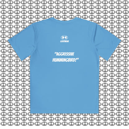 "Aggressive Hummingbird!