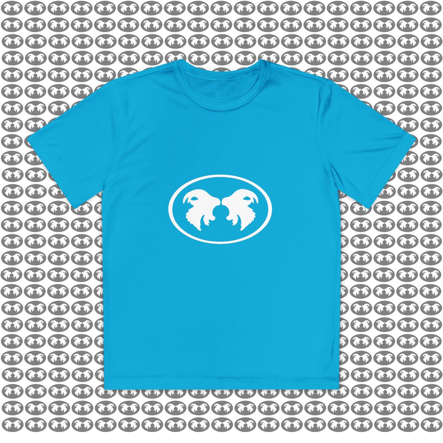 "Aggressive Hummingbird!