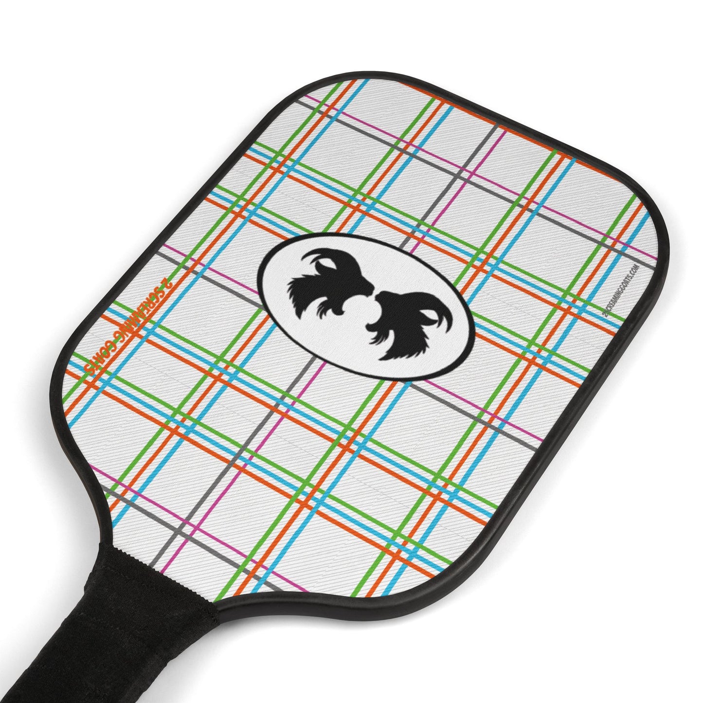 SnowBlind Pickleball Kit