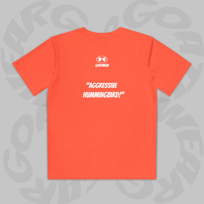 "Aggressive Hummingbird!