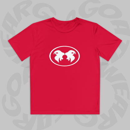 "Aggressive Hummingbird!