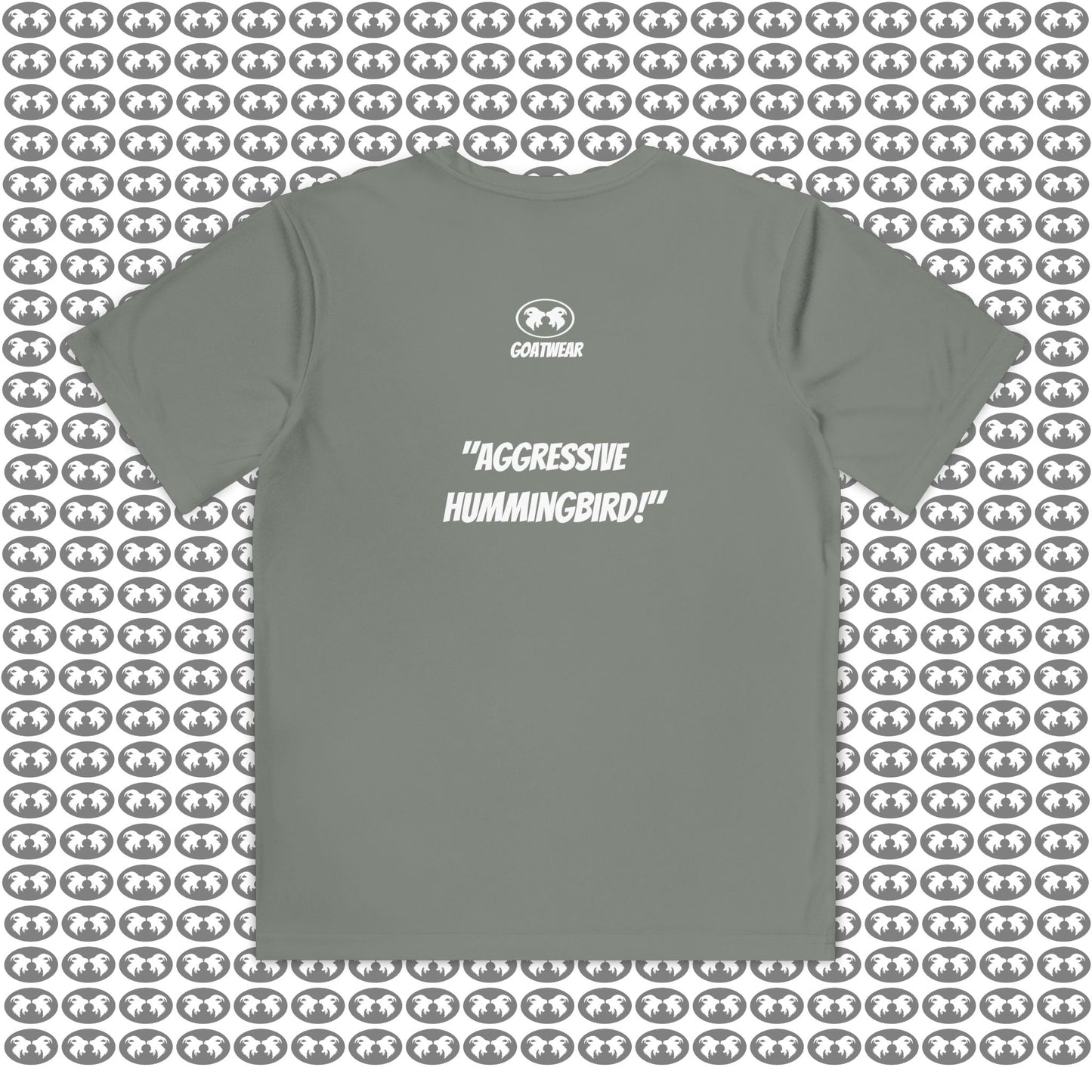 "Aggressive Hummingbird!