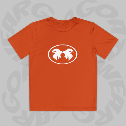 "Aggressive Hummingbird!