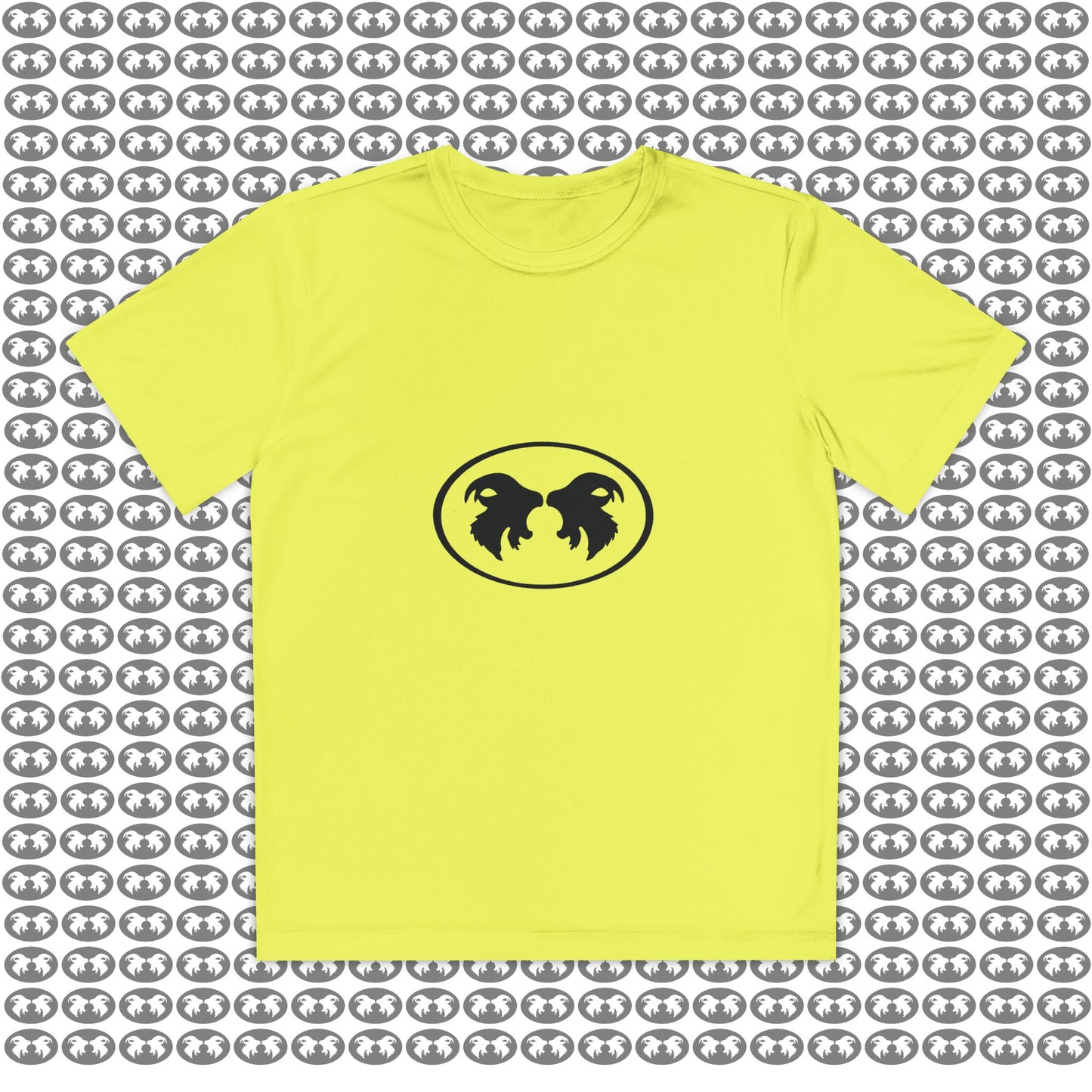 "Aggressive Hummingbird!