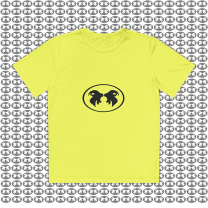 "Aggressive Hummingbird!