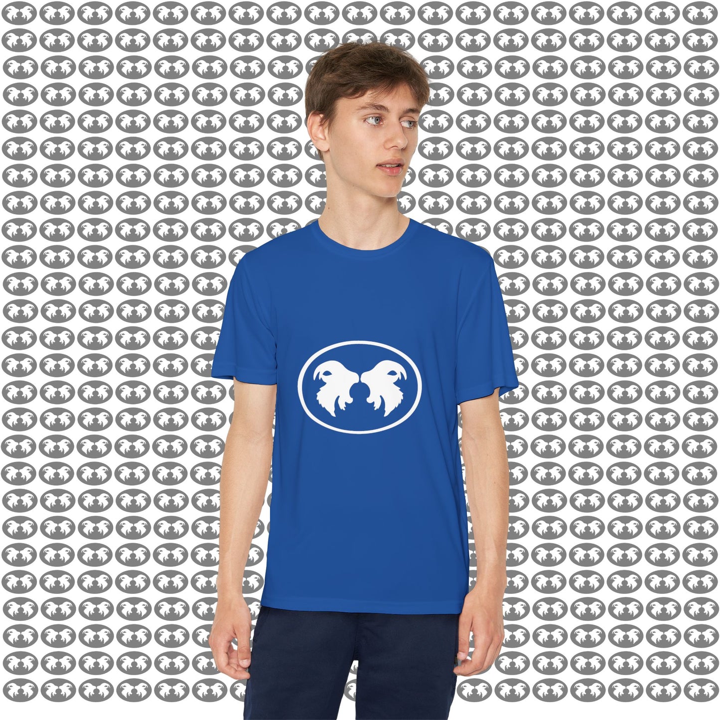 "Aggressive Hummingbird!