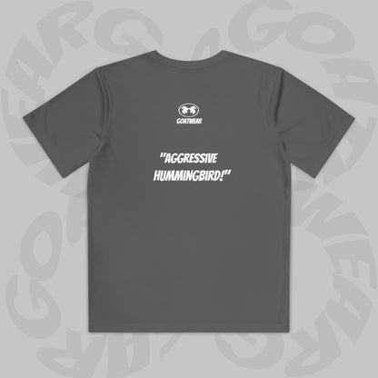 "Aggressive Hummingbird!