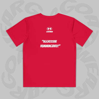 "Aggressive Hummingbird!