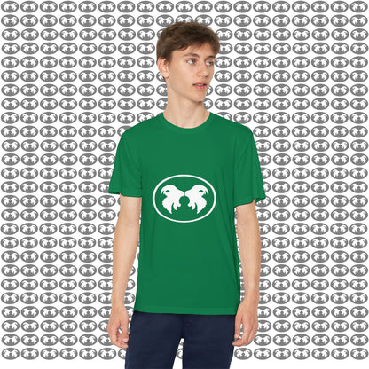 "Aggressive Hummingbird!