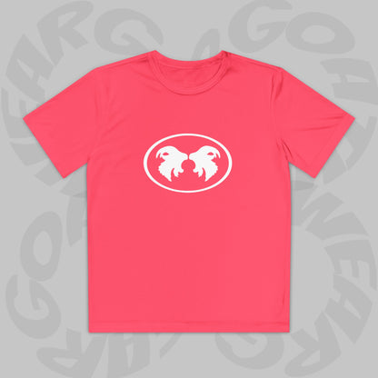 "Aggressive Hummingbird!