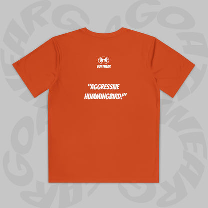 "Aggressive Hummingbird!