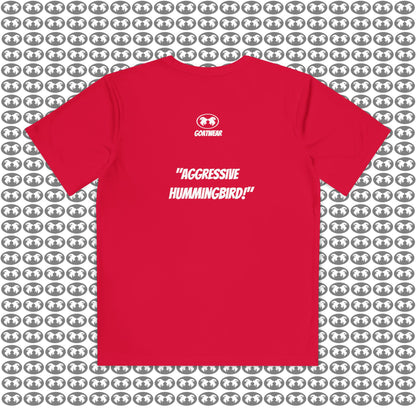 "Aggressive Hummingbird!