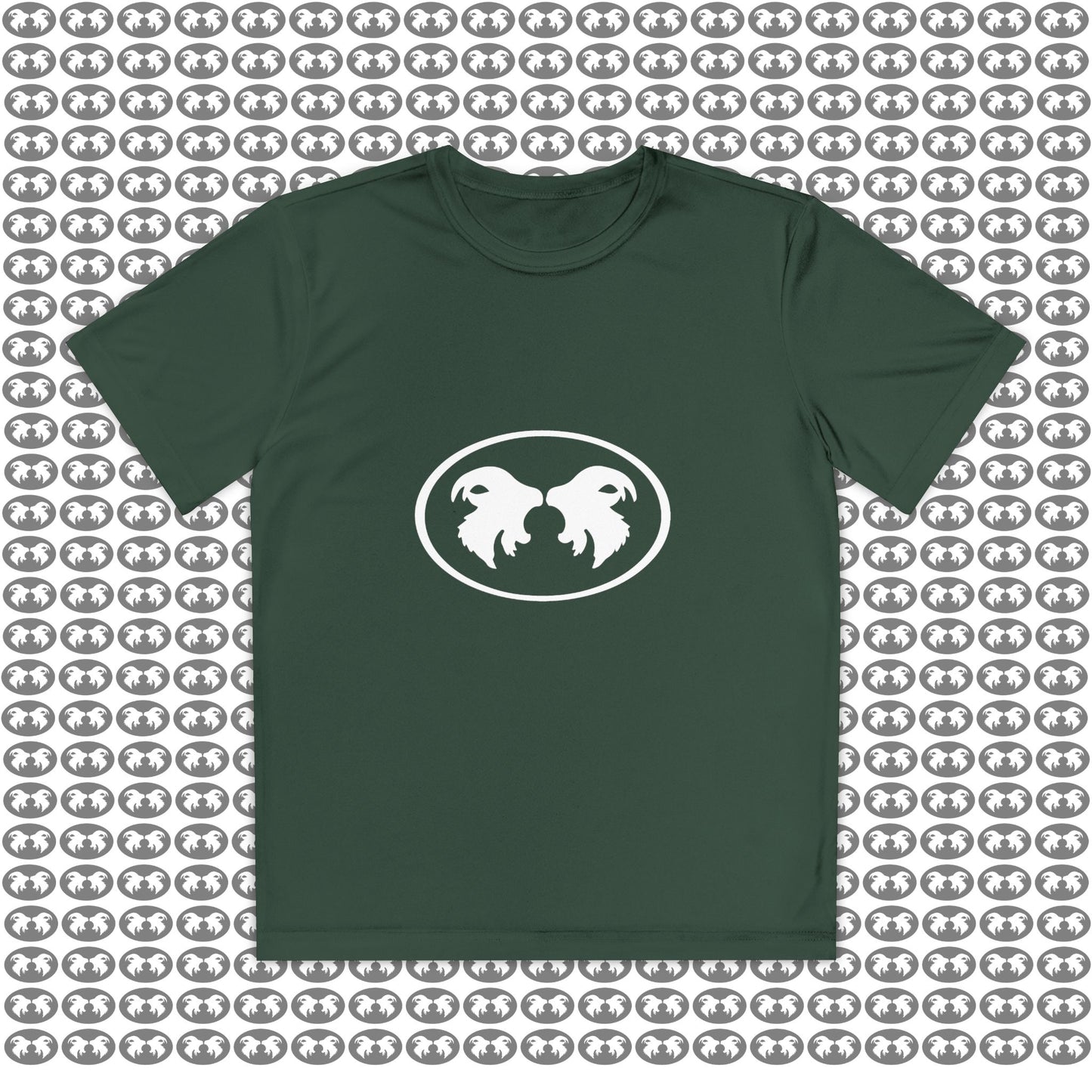 "Aggressive Hummingbird!