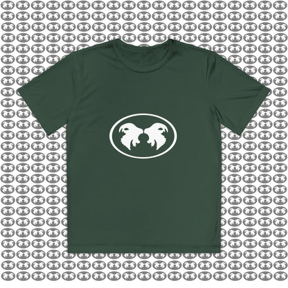 "Aggressive Hummingbird!