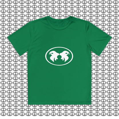 "Aggressive Hummingbird!