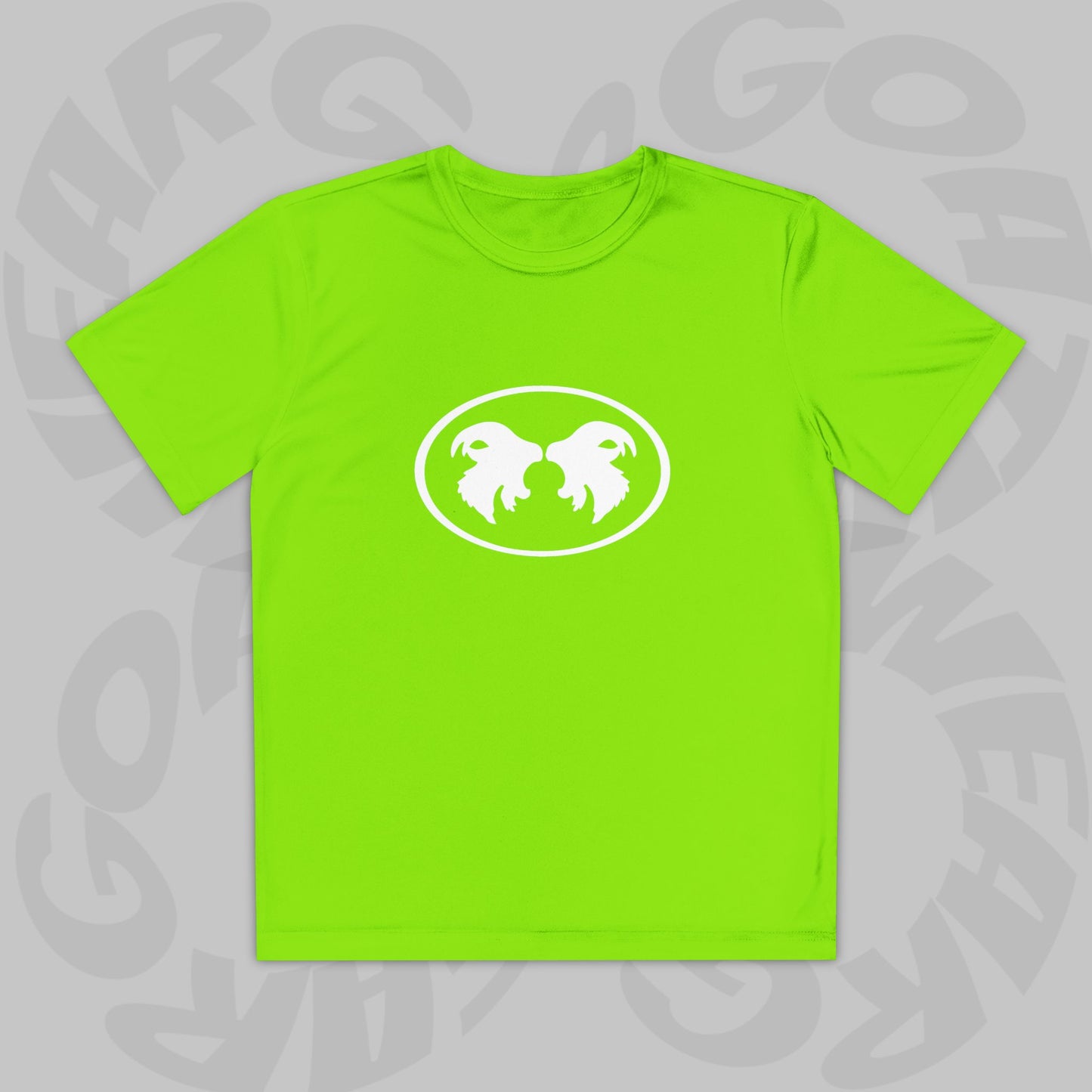 "Aggressive Hummingbird!