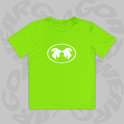 "Aggressive Hummingbird!