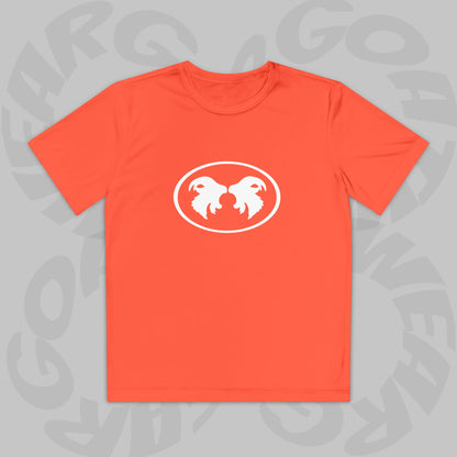 "Aggressive Hummingbird!