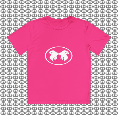 "Aggressive Hummingbird!