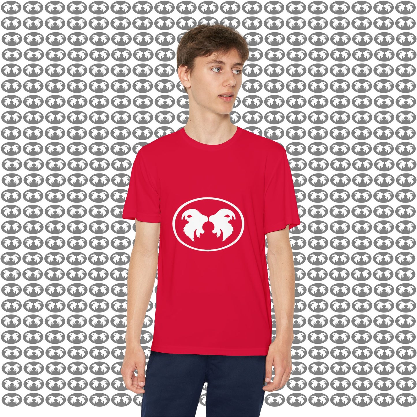 "Aggressive Hummingbird!