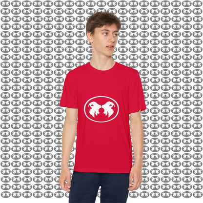 "Aggressive Hummingbird!