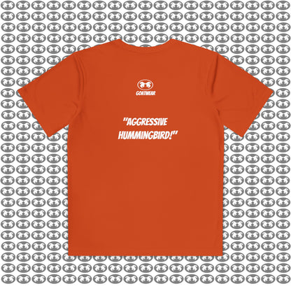 "Aggressive Hummingbird!