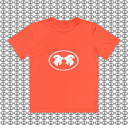 "Aggressive Hummingbird!