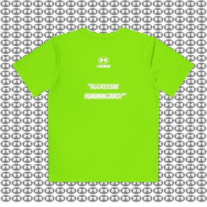 "Aggressive Hummingbird!