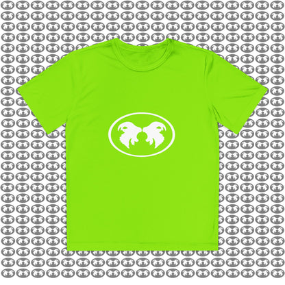 "Aggressive Hummingbird!